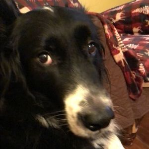 Meet your Posher, Nica